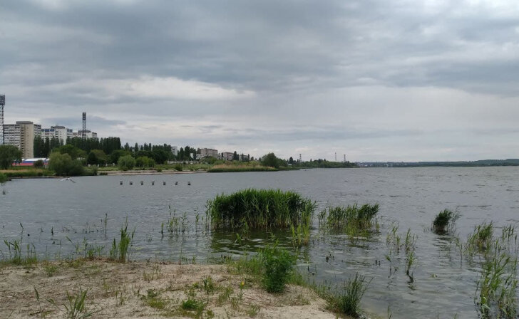    Курчатов может получить до 45 млн рублей на конкурсе «Лучшая муниципальная практика»