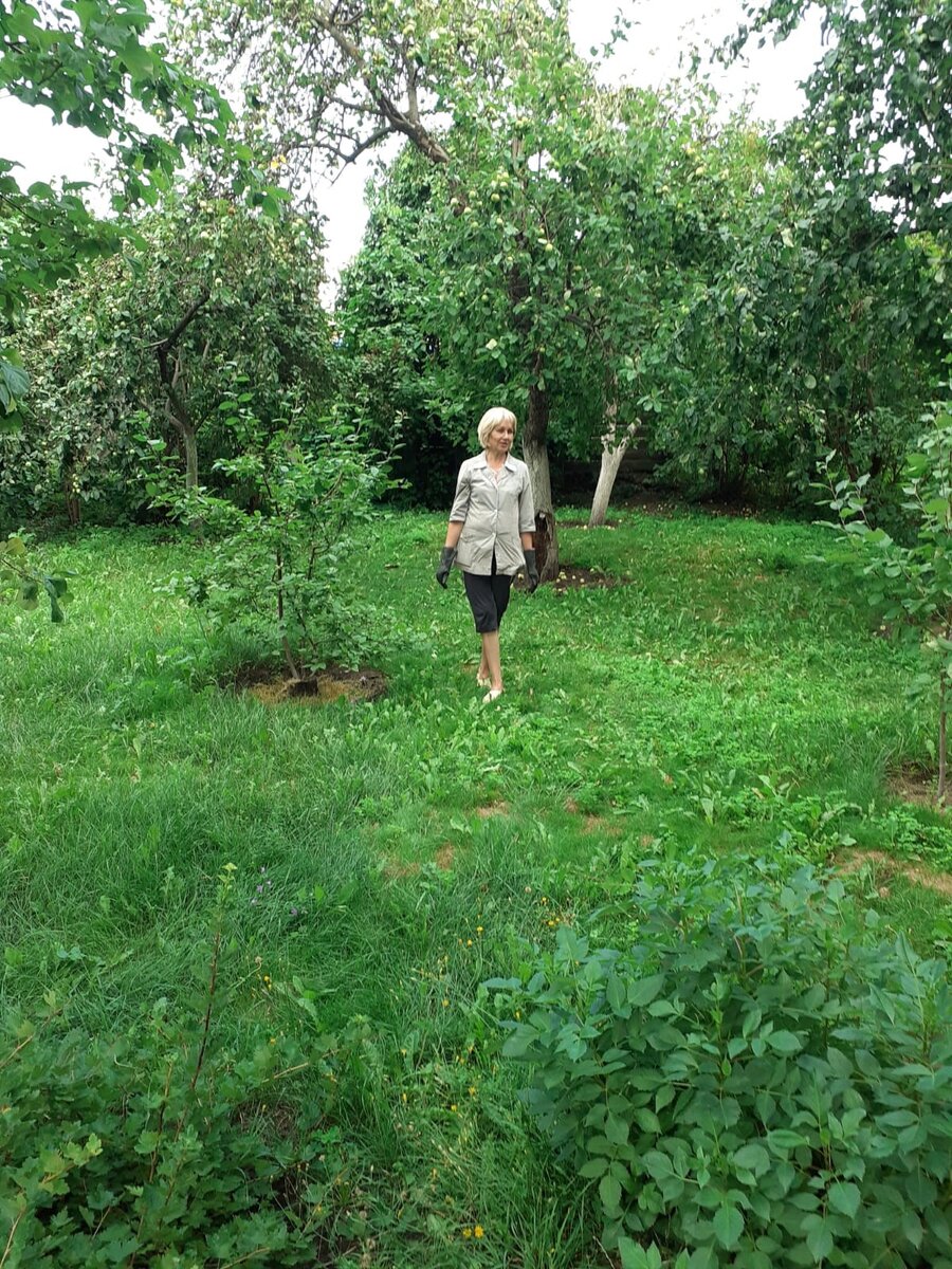 1.	Один из уголков сада.