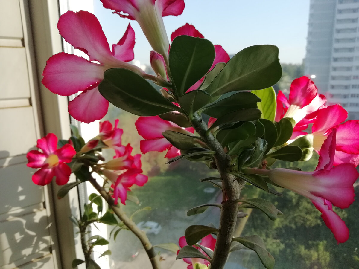 Фото из личного архива автора канала 