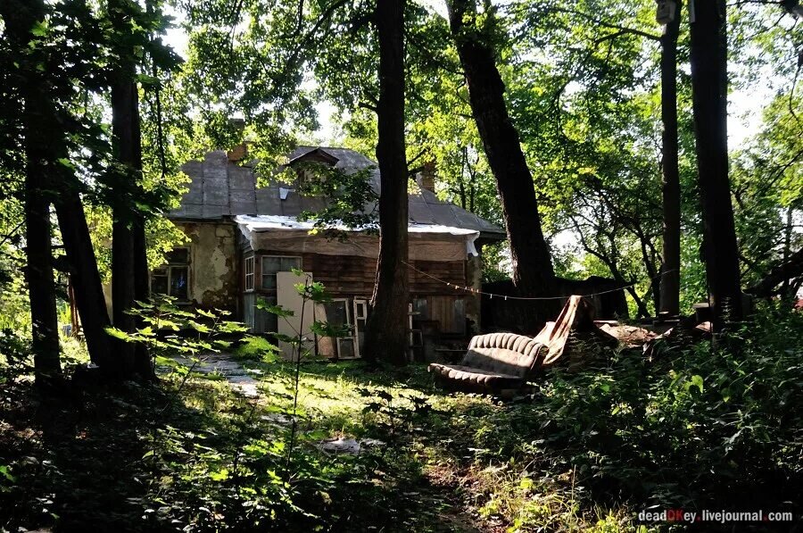 Фотография из интернета. 