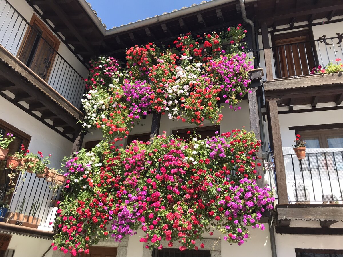 Совсем немногое из того, о чем мне хотелось бы рассказать (листаем)