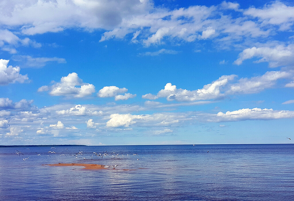 Ладожская нега, фото мое