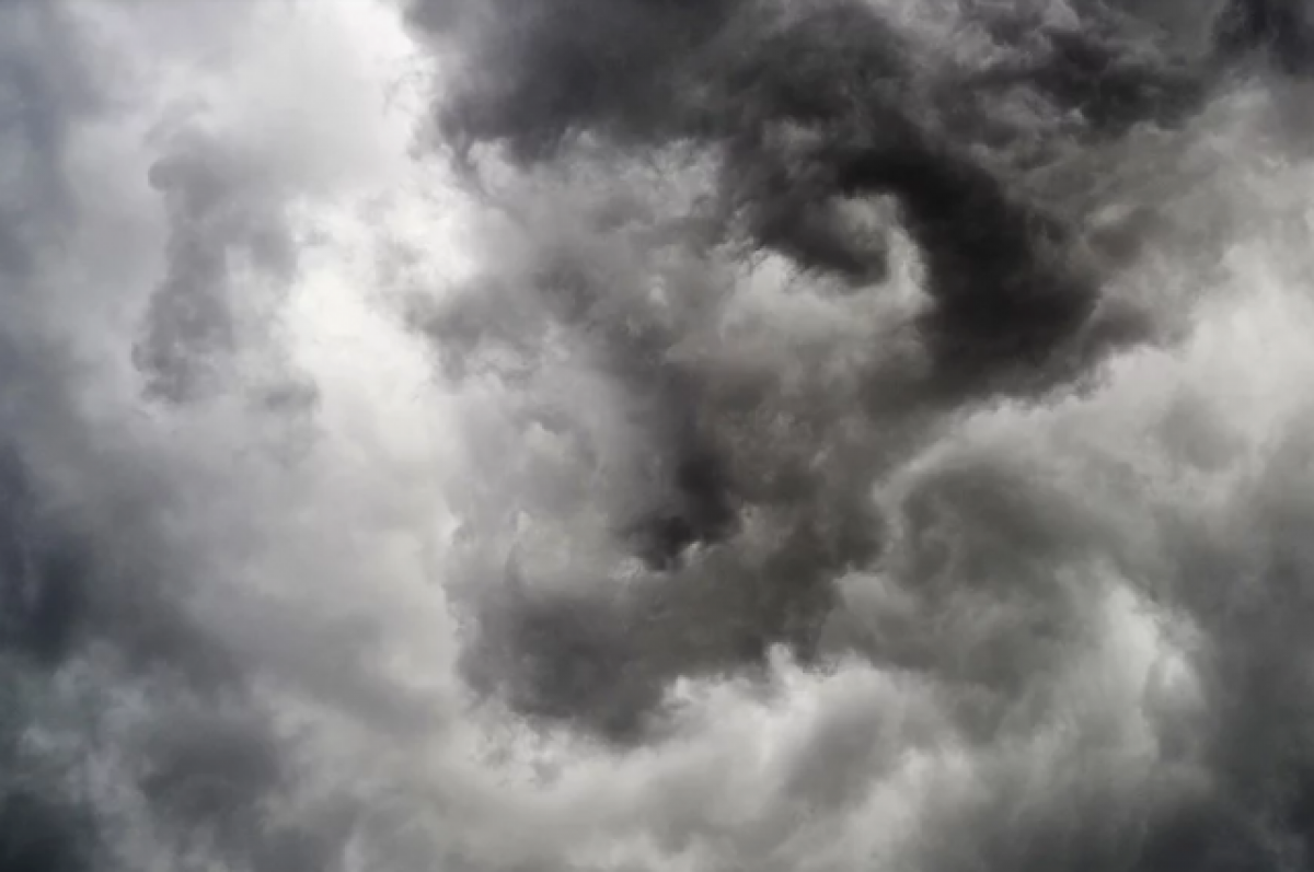    Нижегородца придавило деревом во время урагана