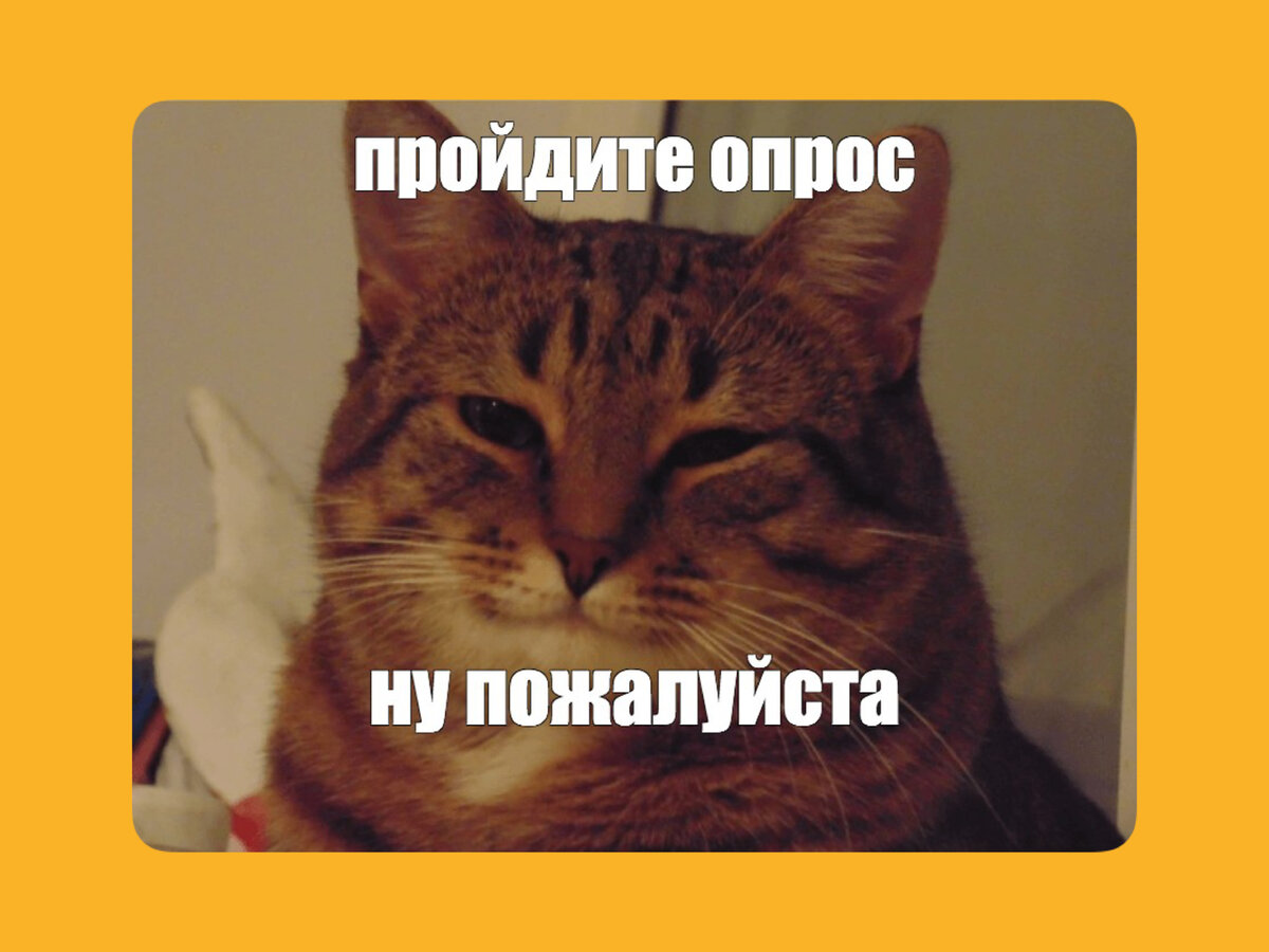 Пожалуйста мем с котом