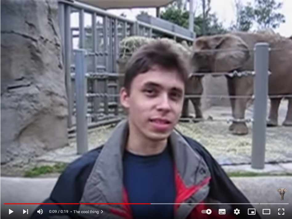 В каком году был видео