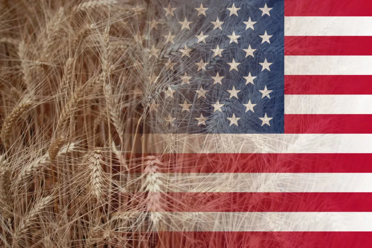 Сх сша. Пшеница США. Пшеница в Америке. Сельхоз США. Сельскохозяйственная политика США.