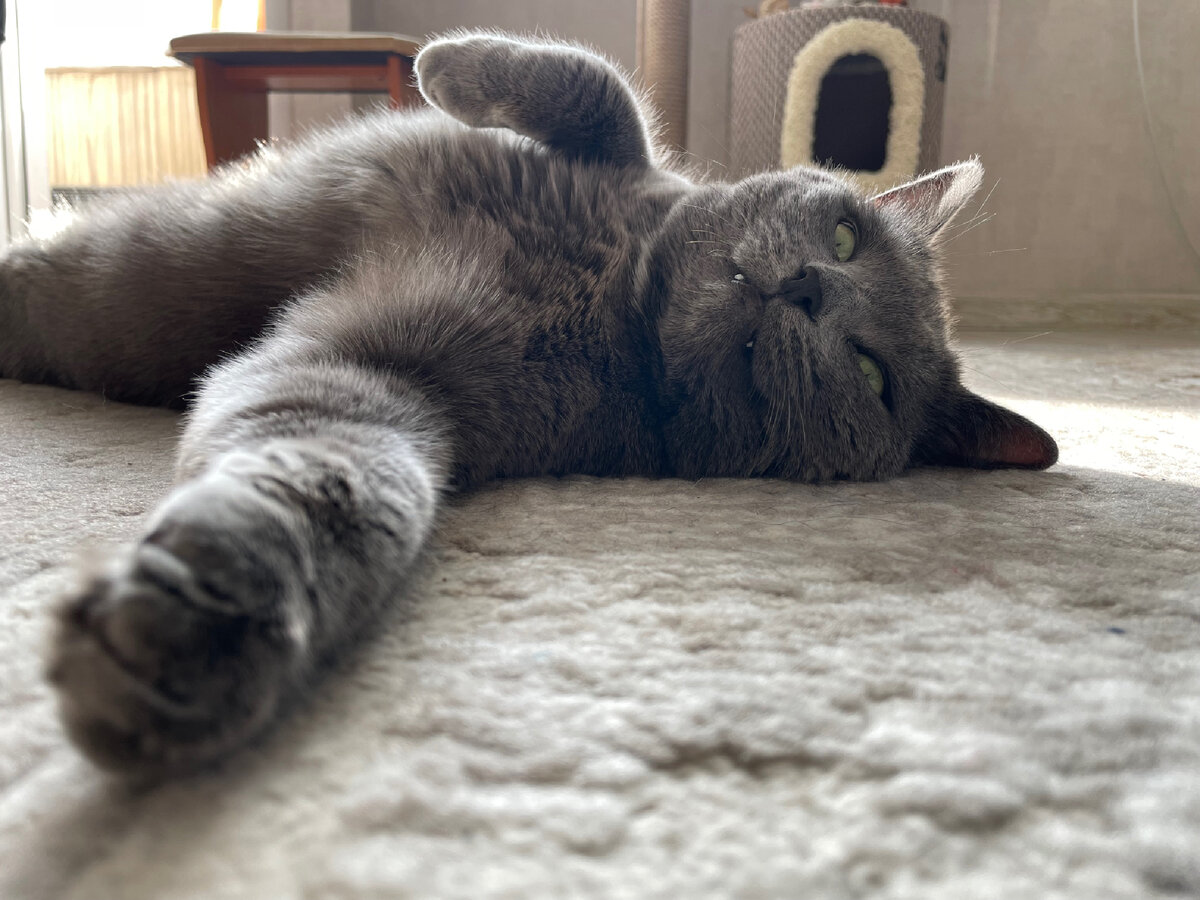 Не ленивая, а энергосберегающая