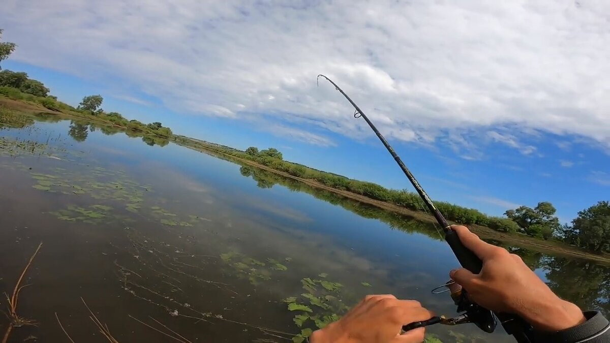 Кольца для удилищ Fuji SIC 🐟 купить, цены в интернет-магазине 