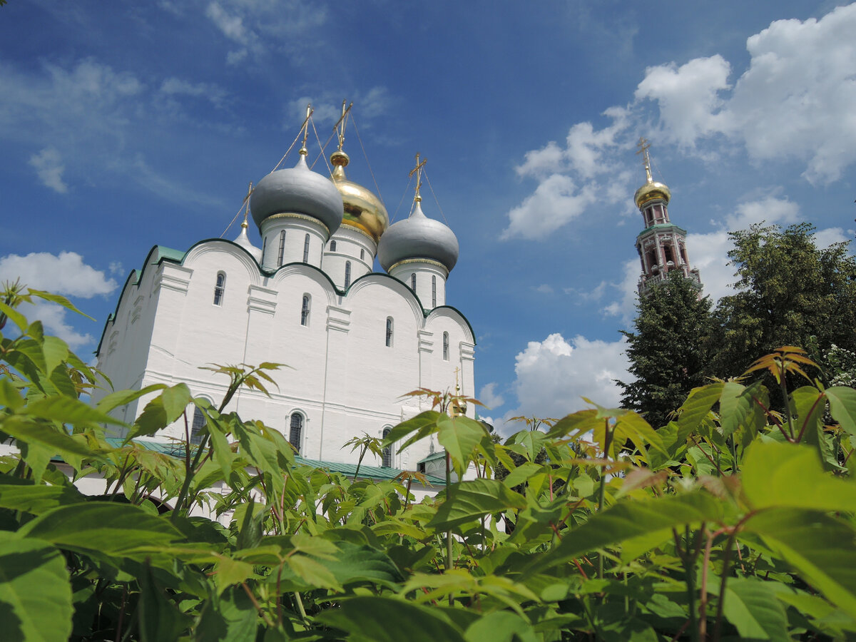 Новодевичий монастырь