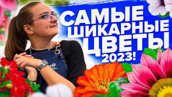 БЕРИТЕ ИХ в 2024! ТОП НИЗКОРОСЛЫХ ЦВЕТОВ - 2023 года