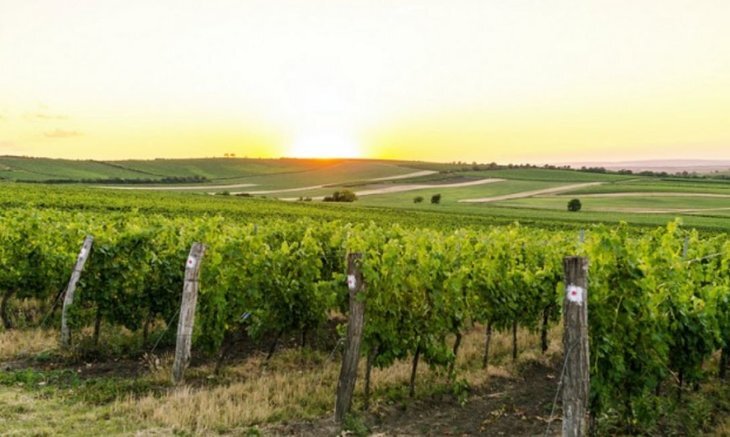    Первое полностью органическое село может появиться в России