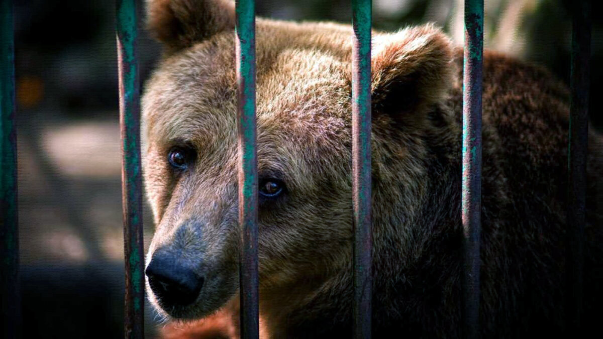 источник фото: funart.top