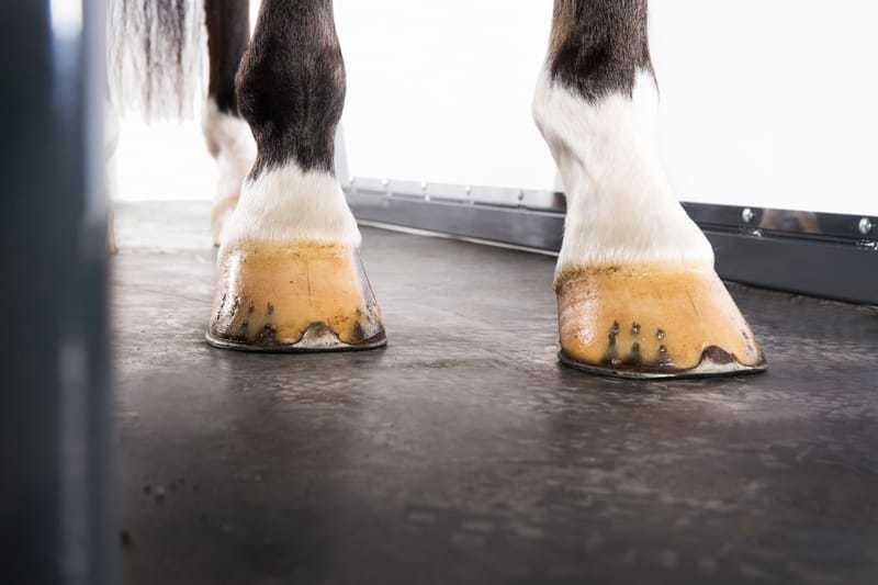 Фотография из открытых источников