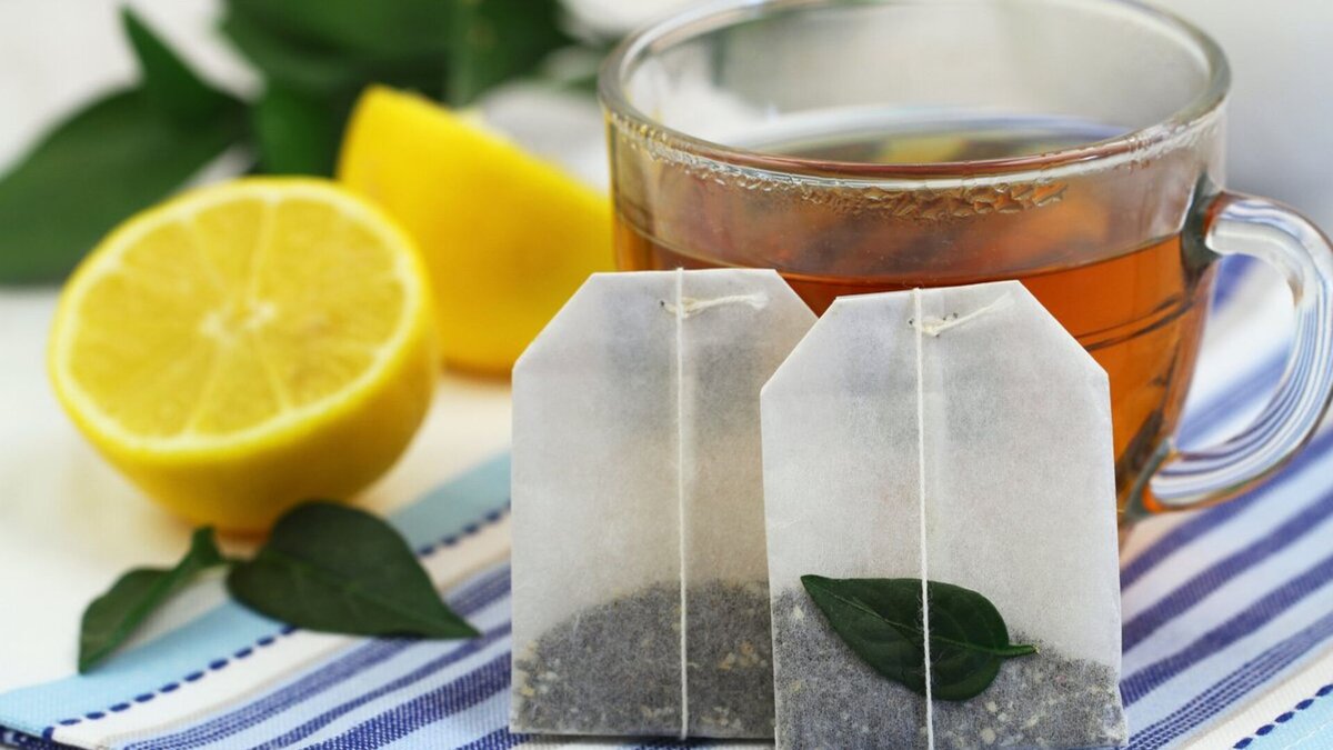   graletta/Shutterstock.com