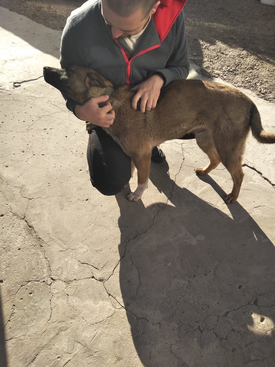 Жалуется сыну на вольную жизнь