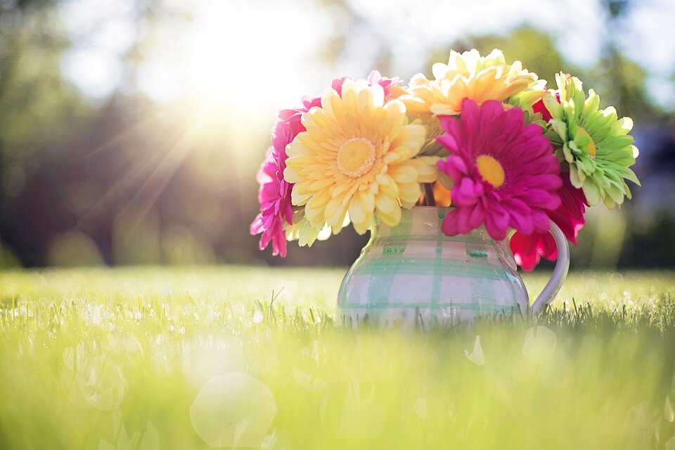 Фото:pixabay.com