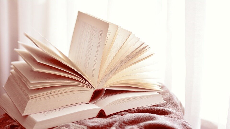 Так как я пока только учусь грамотно обращаться с деньгами, я решила подтянуть матчасть. Поэтому у меня появилась рубрика "Книга месяца", в которой я буду читать знаменитый бестселлер про деньги.