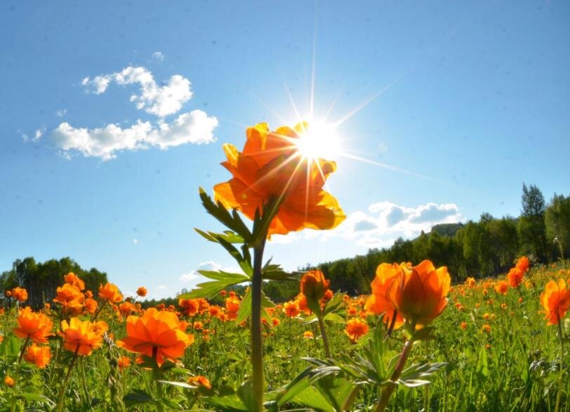 Фото – vtruda.ru