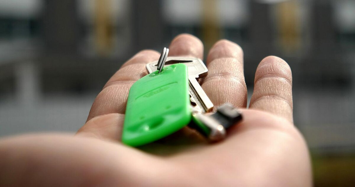 ФОТО С САЙТА PIXABAY.COM