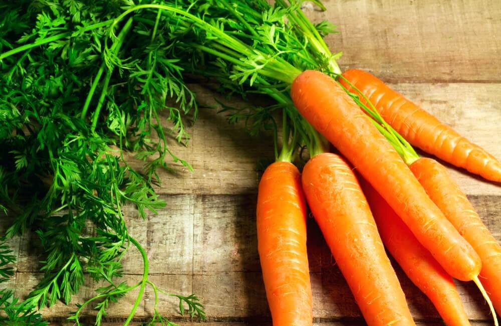 Как использовать в кулинарии ботву моркови – 2 рецепта | ИТАЛЬЯНСКАЯ КУХНЯ