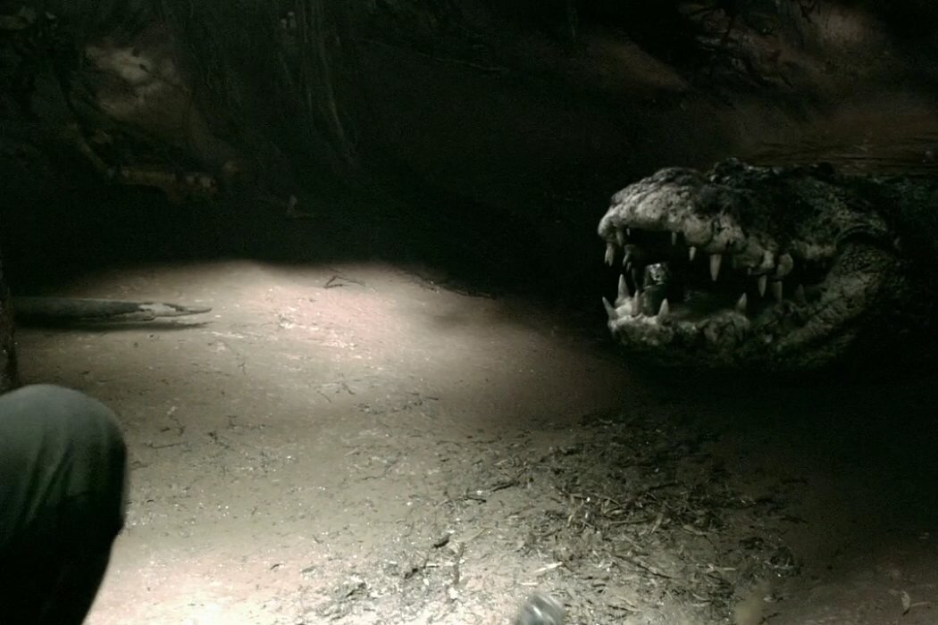фильм первобытное зло крокодил. фильм первобытное зло крокодил. фильм ужасов крокодил 2007. перси джексон и море чудовищ харибда. пираньи 3dd фильм 2012 рыба.