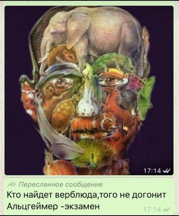 Скрин с моего телефона. Связи картинки с Альцгеймером не вижу, но суть не в этом)))