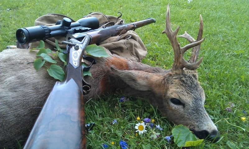 Источник: https://google.com