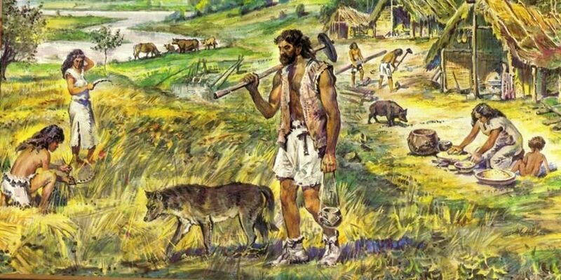 быт первобытных общин