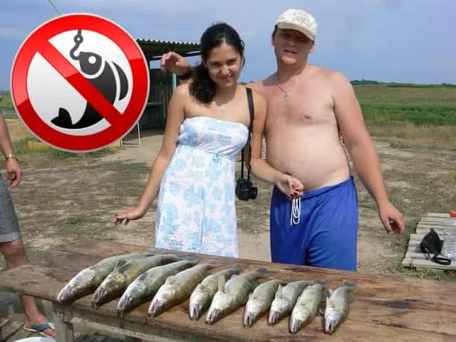 Запрет на рыбалку. Запрещенная рыба в Астрахани. Запрет на рыбалку в Астрахани. Запрет на рыбную ловлю. Запрет на рыбалку в калининградской