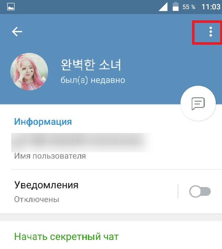 Аналогичный статус в Telegram