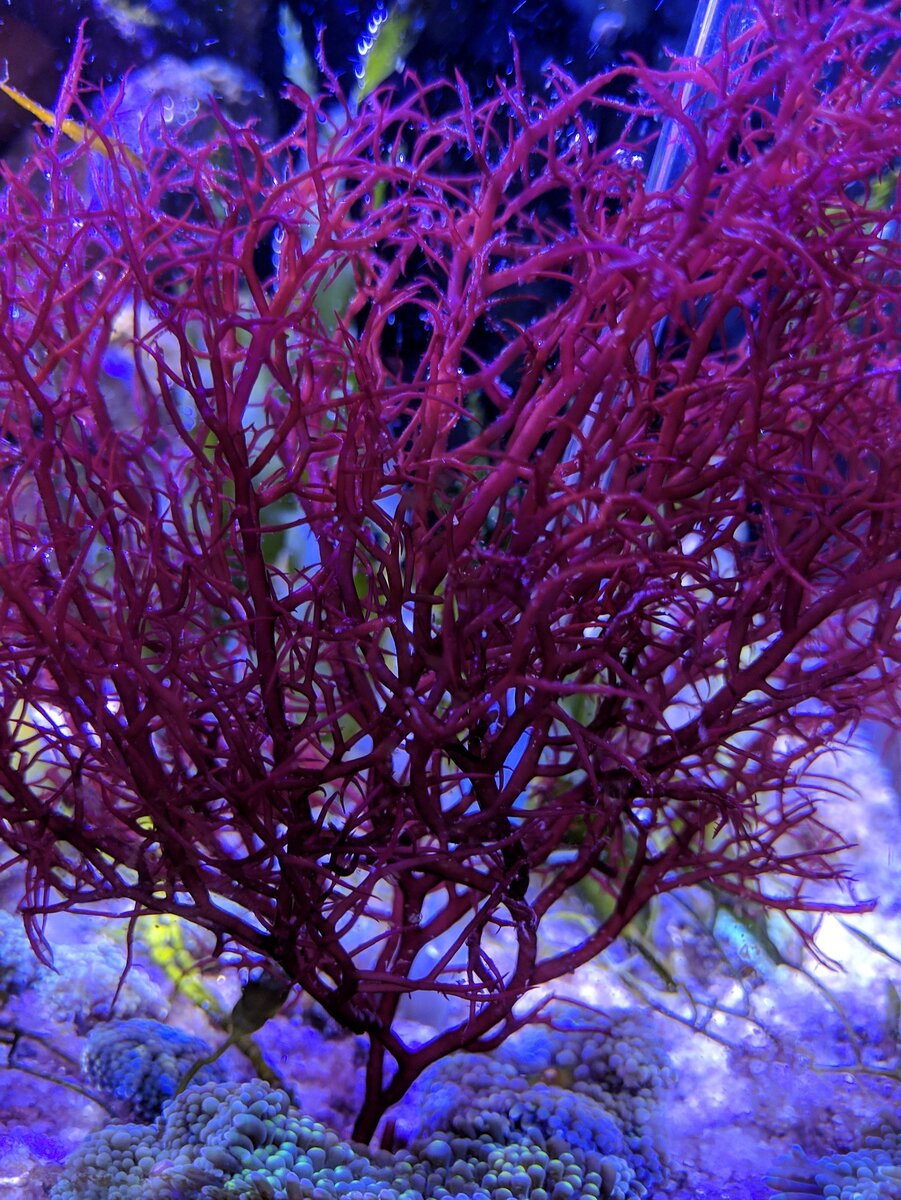 Источник: Яндекс. Картинки.