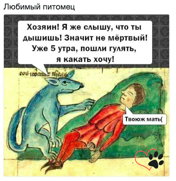 Картинка с просторов интернета, которая очень точно отражает будни собачника)))