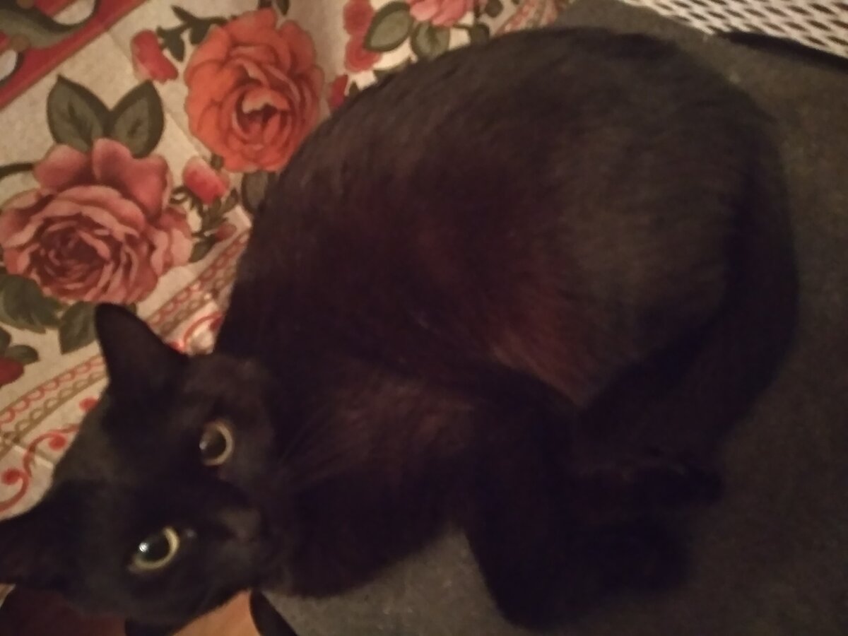 Фото автора истории. 