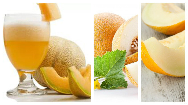 Фото с yandex.ru