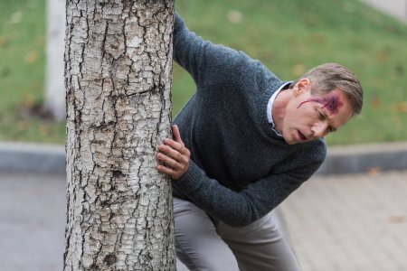 фото взято с просторов интернета, благодарю автора за снимок