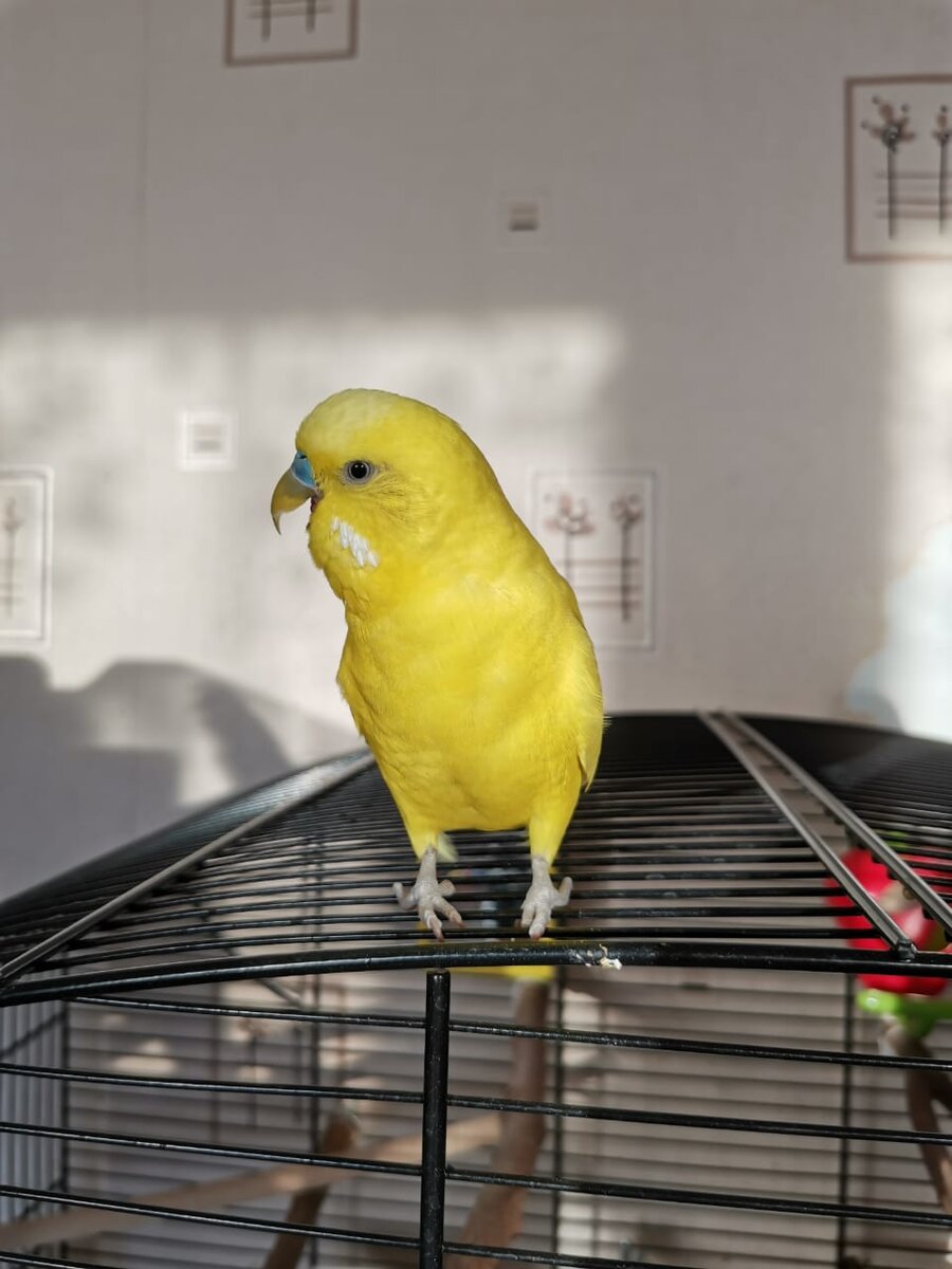 "Аааааааааааааааа, бегите, глупцы!"