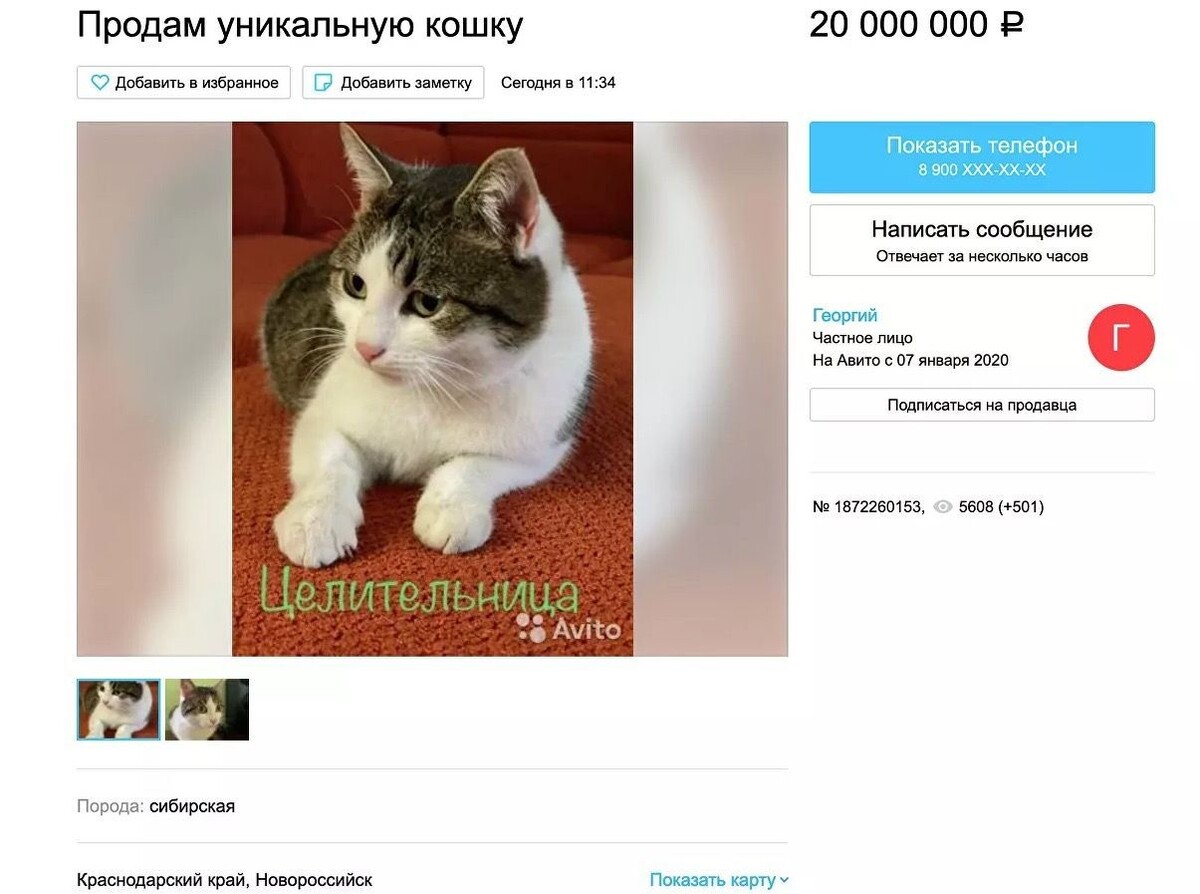 Открытый доступ