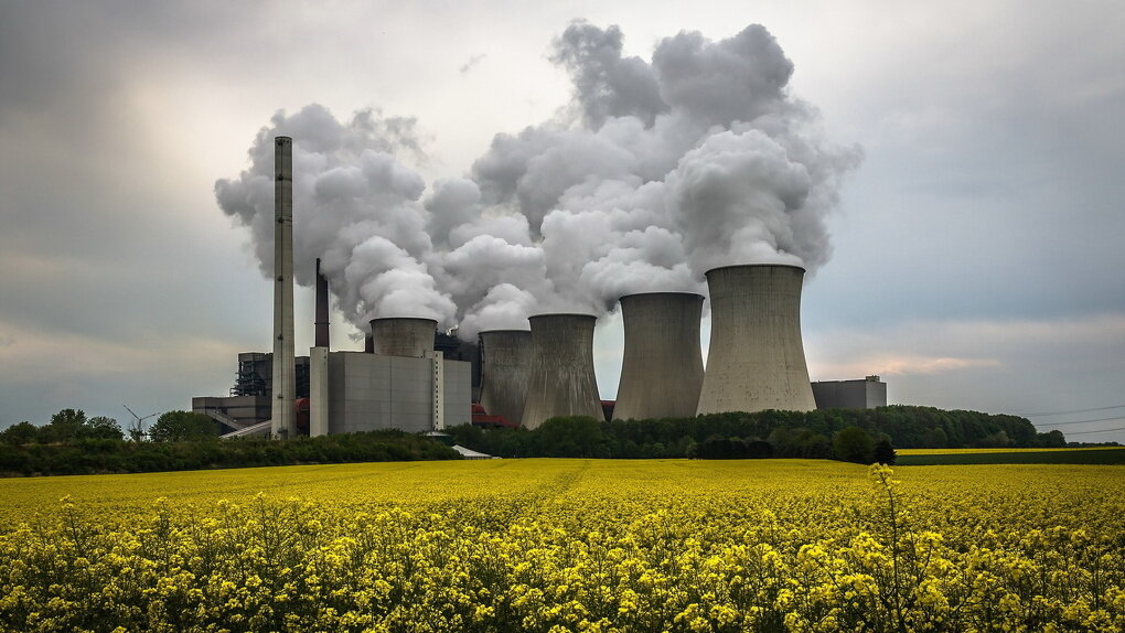 Источник: https://vtambove.ru/news/society/191648/?forceMobile=1