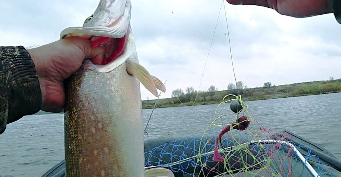 На лодке удобно облавливать несколько мест, 