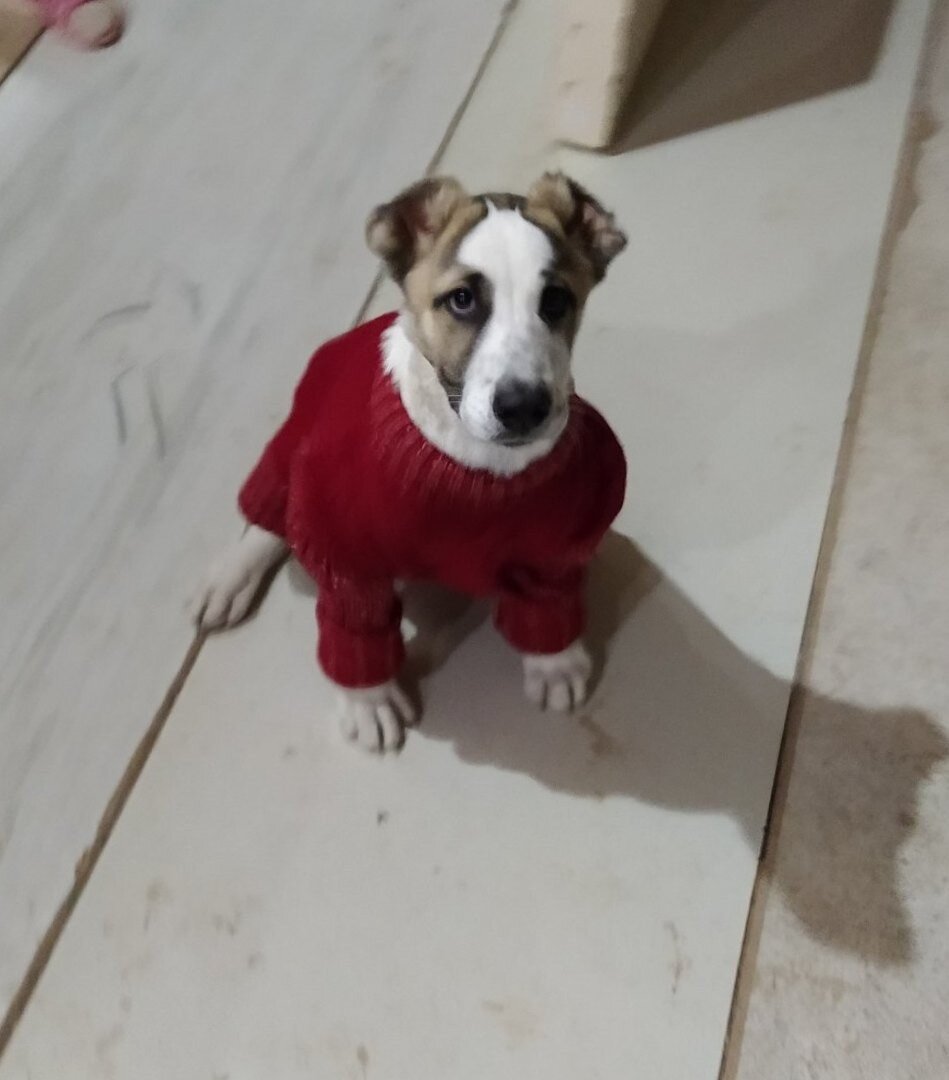 ночью бывает прохладно :)