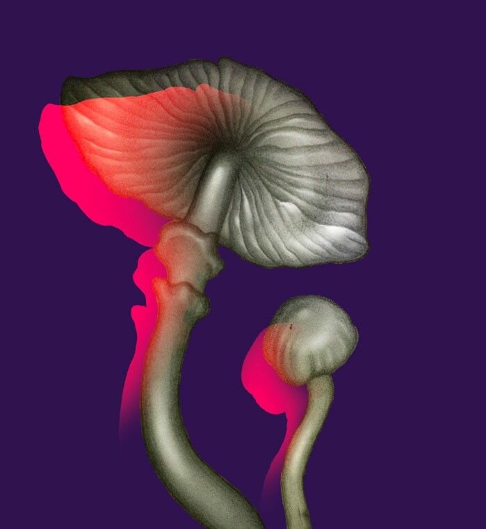           mturin Модератор    На форуме с: 29.07.2012 Сообщения: 6.761 Симпатии: 13.707  	 		Репутация: 	 	 		63.800 	          						 						целиком тут
 https://www.proekt.media/research/narkotiki-v-darknete/
 
 Доля синтетических наркотиков растет
 
 Изначально эти виды наркотиков назывались «дизайнерскими». Это вещества,  которые специально синтезируют и продают, пока те еще не вошли в список  запрещенных. Чтобы получить «дизайнерский» наркотик, производители  берут формулу имеющегося вещества и изменяют ее, тем самым получают не  запрещенное законом новое вещество.
 
 Тенденция к увеличению доли синтетики косвенно подтверждается и данными  Минздрава: показатель по первичной заболеваемости психическими  расстройствами от психостимуляторов за 4 года вырос в два раза, больше  чем у любой другой группы веществ.
 
 Первичная заболеваемость психическими и поведенческими расстройствами, связанными с употреблением наркотиков в РФ
 На 100 тыс среднегодового населения
 
 
 Источник: Минздрав России
 
 Синтетика и стимуляторы снова в моде
 
 
 Несколько лет назад российское государство предпринимало попытки  бороться с «дизайнерскими» наркотиками — в народе «спайсами». Только в  сентябре 2014 года от употребления курительных смесей погибли в общей  сложности 25 человек, более 400 были госпитализированы. Тогда  руководитель закрытого ныне Госнаркоконтроля Виктор Иванов предложил разрешить  его ведомству самостоятельно включать вещества в список запрещенных без  ожидания результатов экспертизы. В 2015 году были приняты поправки в  закон, по которому ФСКН могла самостоятельно вносить вещества в запретный список. Эпидемия «спайсов» тогда сошла на нет, но сейчас синтетические наркотики снова вошли в моду.
 
 3
 
 На графике видно, что падает спрос на кокос. Падение доли кокоса связано  с развитием самой площадки. Дело в том, что когда даркнет-площадки  открываются, первыми о них узнает  обеспеченная аудитория, которая в основном покупает кокос. Когда  аудитория расширяется, кокос вытесняют другие, более доступные  наркотики. Это хорошо видно на примере Сочи — «Г____» пришла сюда в июне  2016 года, и начиная с этого времени Меф постепенно начал теснить  кокос.
 
 Изменение предпочтений по годам в Сочи
 Доли в покупках наркотиков за 2018 и 2019 годы, %
 
 
 Дешевая синтетика вытесняет дорогой кокос
 
 4
 
 Большая доля кокоса среди покупок — маркер экономического благополучия  региона и наличия платежеспособной аудитории. Он составляет 8,7% от всех  заказов в Москве, 7,2% в Сочи, 4,6% в Казани и 4,1% в Петербурге. В  Сочи этот эффект, видимо, обусловлен курортной спецификой города, а  также обилием там богатых приезжих из других частей страны.
 
 Наркотик для богатых
 Доля кокоса в отзывах за 5 месяцев 2019 года, %
 
 Москва
 
 8,71
 
 Сочи
 
 7,21
 
 Казань
 
 4,58
 
 Санкт-Петербург
 
 4,13
 
 Нижний Новгород
 
 3,29
 
 Краснодар
 
 2,93
 
 Красноярск
 
 2,75
 
 Новосибирск
 
 2,31
 
 Ростов-на-Дону
 
 2,20
 
 Воронеж
 
 1,95
 
 Екатеринбург
 
 1,77
 
 Калининград
 
 1,52
 
 Ярославль
 
 1,42
 
 Самара
 
 1,21
 
 Пермь
 
 1,18
 
 Волгоград
 
 1,17
 
 Набережные Челны
 
 0,85
 
 Уфа
 
 0,75
 
 Омск
 
 0,71
 
 Челябинск
 
 0,33
 
 Севастополь
 
 0,17
 
 кокос наиболее популярен в Москве и Сочи
 
  
    