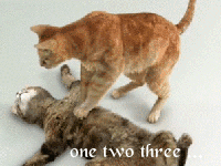 -3