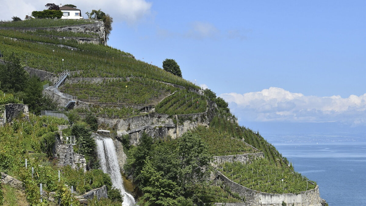 Подпишитесь на канал и поставьте лайк! Так вы поможете развитию канала. Давайте сделаем это вместе. Спасибо