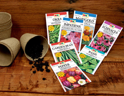 Импортные семена