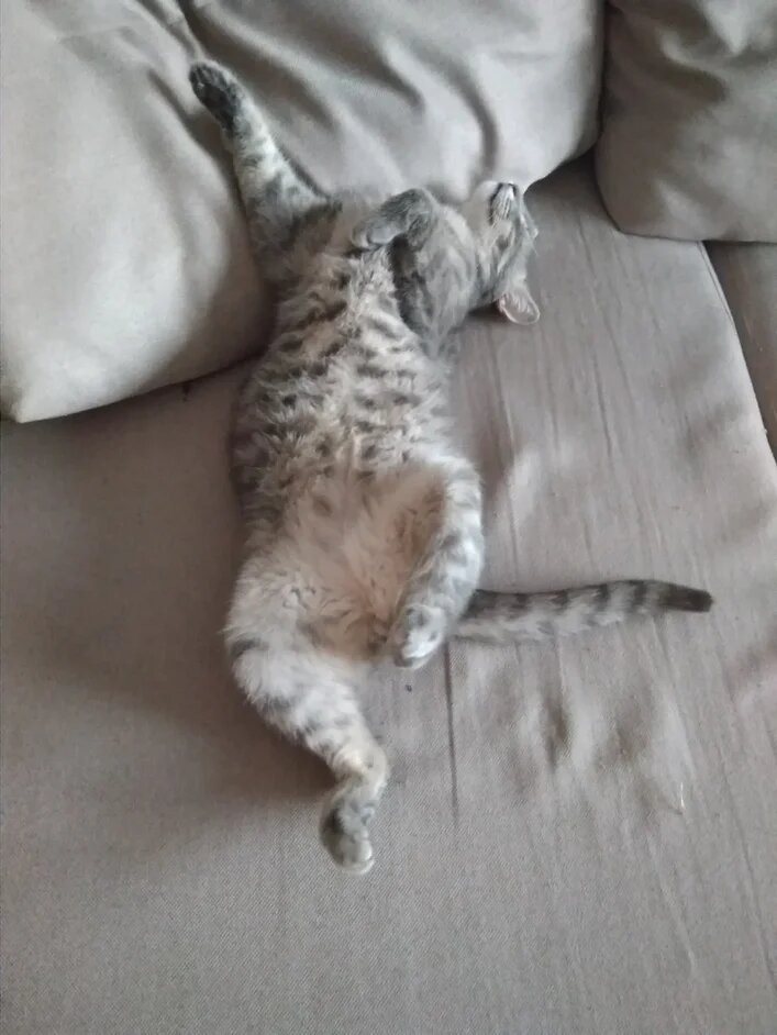 Фото из личного архива (я сплю)