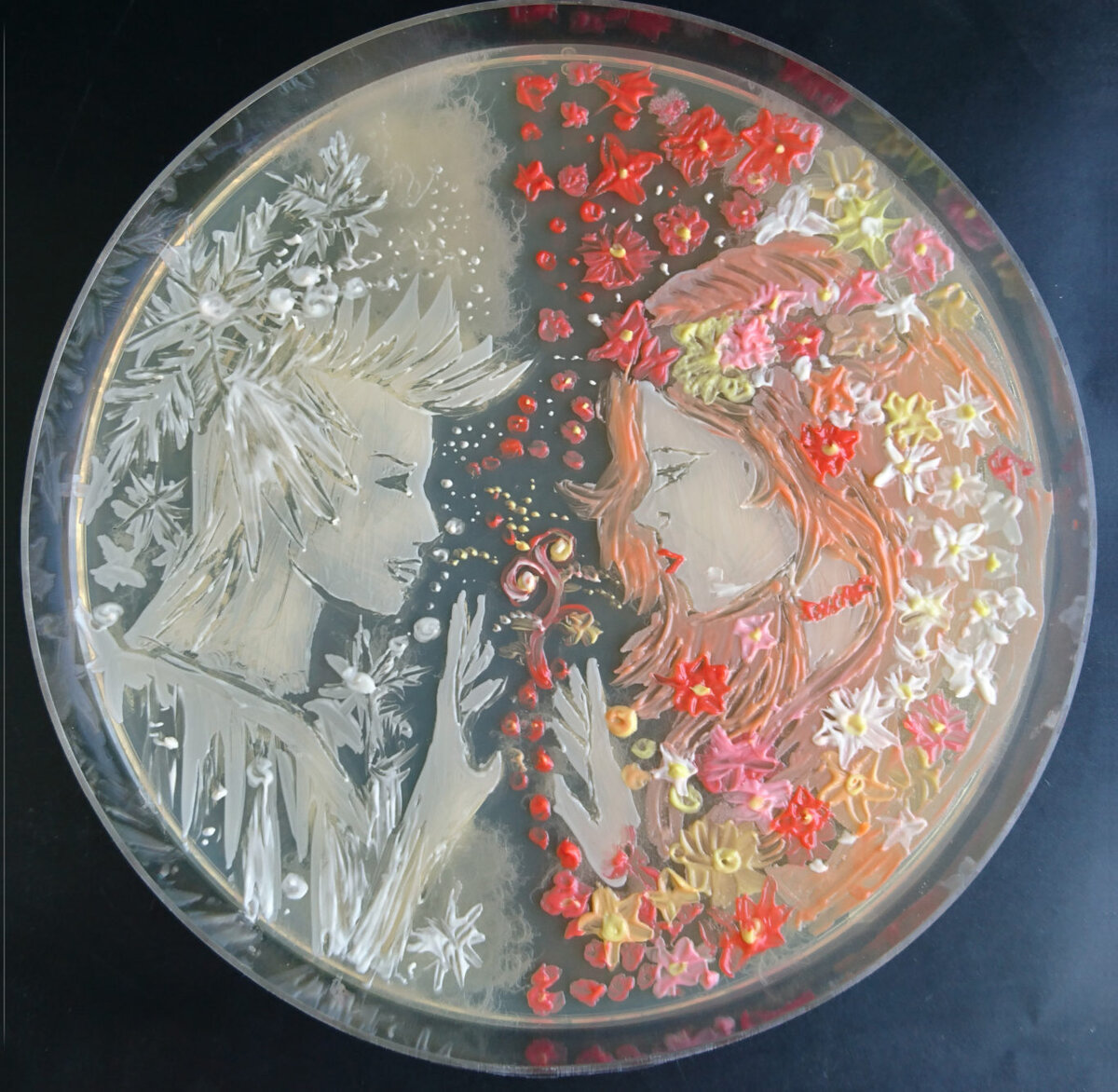 1st place, Agar Art Maker 2018 Contest 