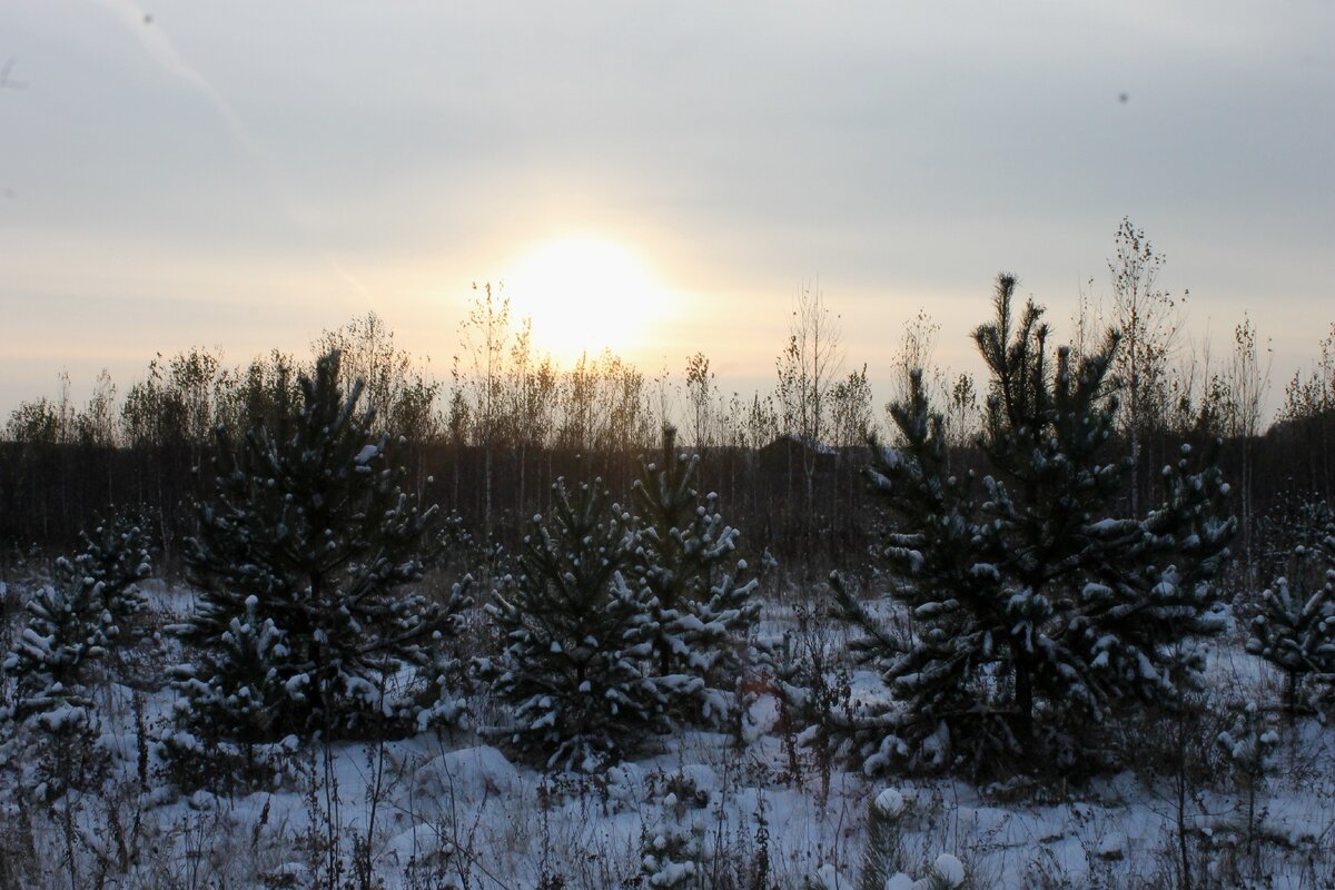 Фото из семейного архива