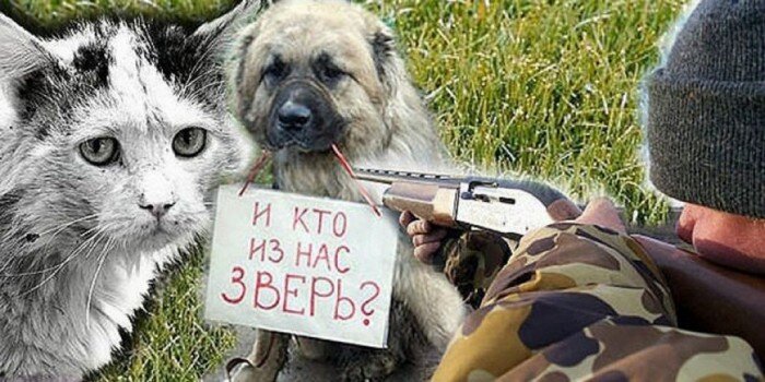 Яндекс картинки 