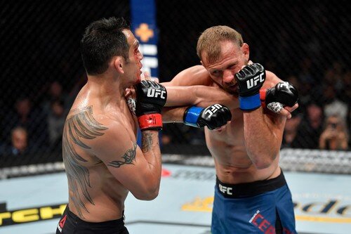 Против Серроне