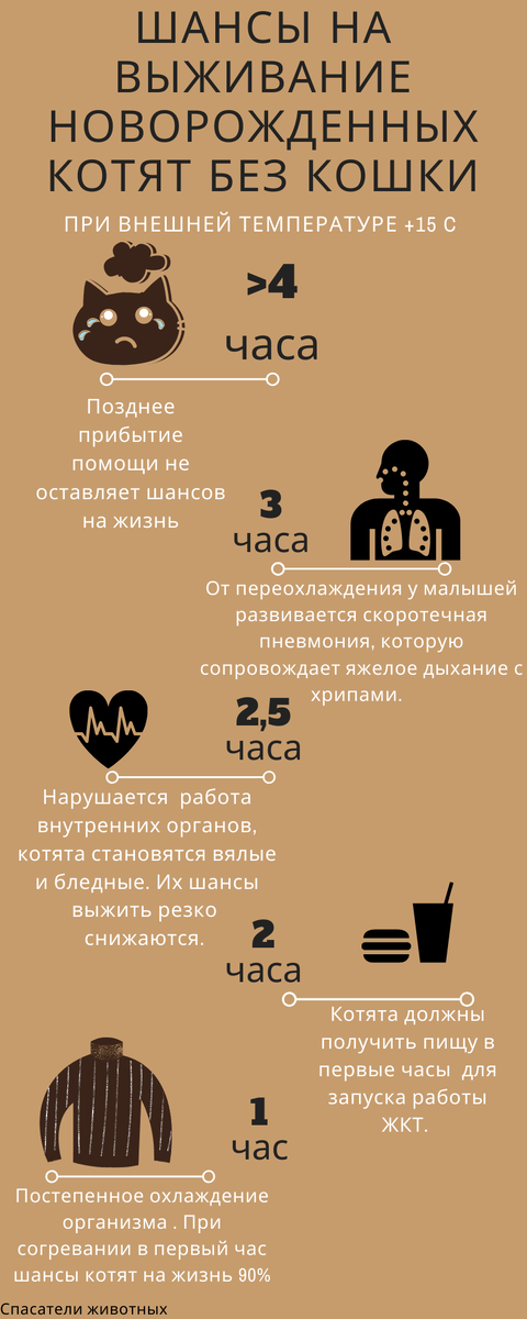 Вот вам совсем не радостная инфографика  почему "надо бы действовать побыстрее"